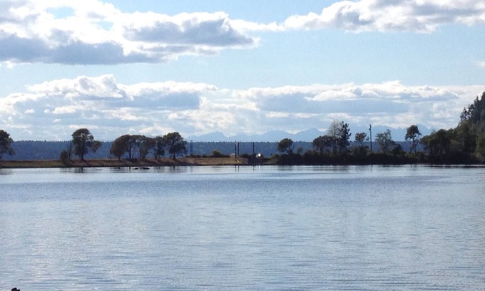 Longbranch Cabin | Peaceful Waterfront Cove Cabin with Canoe and SUPs, Perfect for Summer
