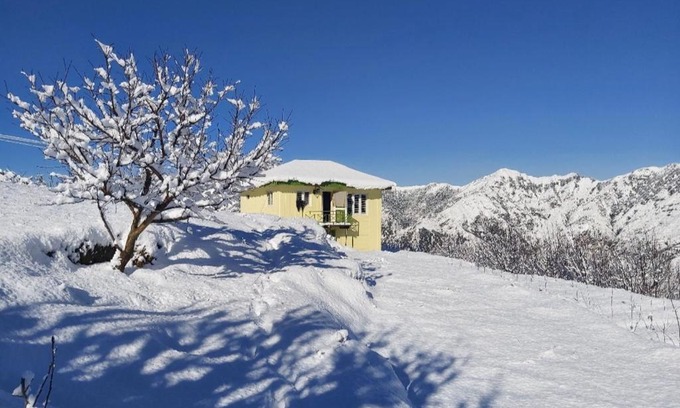 Shilla House | Charming Peach Villa Farm Stay: Family and Pet Friendly