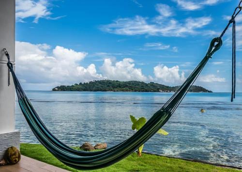 Eastern Panama Apartment | Discover Pebos Reef: Family and Pet-Friendly Retreat
