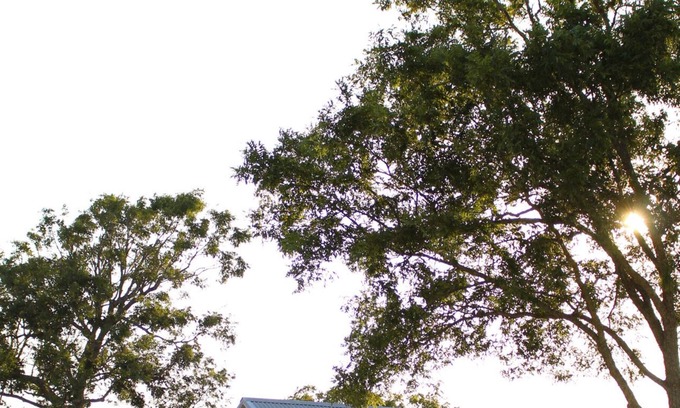Burton Other | Highly Rated Pecan Tree House near Round Top Attractions