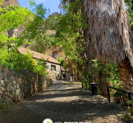 Boca de Coruja Hotel | Experience Pedracin Village: Oceanfront Bliss Awaits