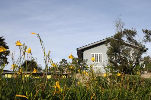 Nuwara Eliya House | Pedro View Homestay: Family-Friendly Retreat with Kitchen