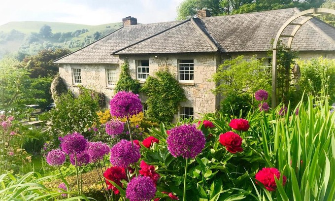 Rhydycroesau Hotel | Pet-Friendly Comfort at Pen-Y-Dyffryn Country Hotel