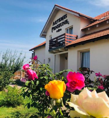 Cristian House | Discover Pensiunea Artemis: Pet-Friendly and Family-Ready