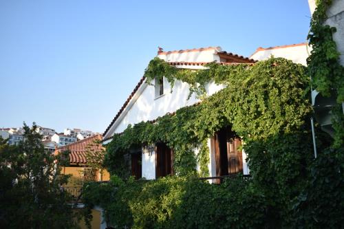 Pythagorion House | Pet-Friendly Pension Felippe: Guest Rated 9.3/10