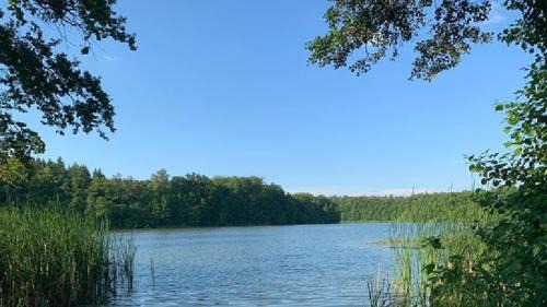 Heiligengrabe House | Pet-Friendly Pension & Gasthaus Kattenstieg with Great Reviews