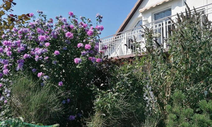 Ueckeritz Apartment | Family-Friendly Pension Haus Anneliese with Hot Tub Access
