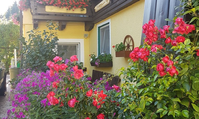 Lungoetz House | Budget-Friendly Stay at Pension Haus Rohrmoser with Breakfast