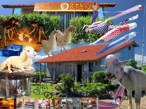 Ginoza House | Oceanfront Pension Snadun: Rated 10/10 with Hot Tub & Views