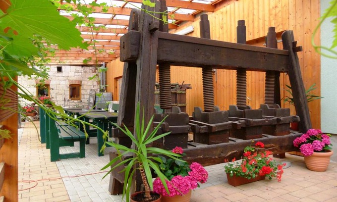 Freyburg House | Cozy Pension Unstrutpromenade with Restaurant & Family Focus