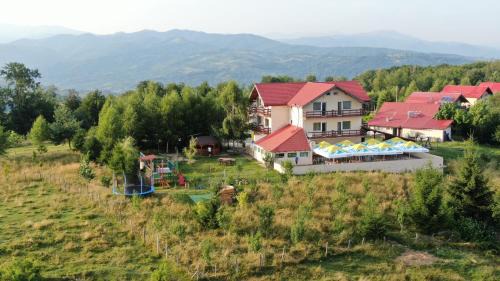 Runcu House | Cozy Stay at Pensiune Runcu Stone: Pet-Friendly & Accessible