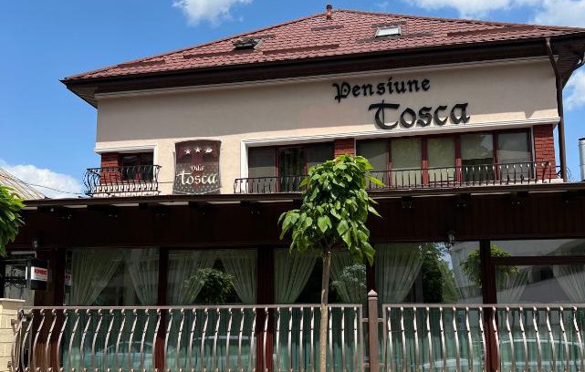 Bacau House | Discover Pensiune Turistica Tosca: Family-Friendly Retreat