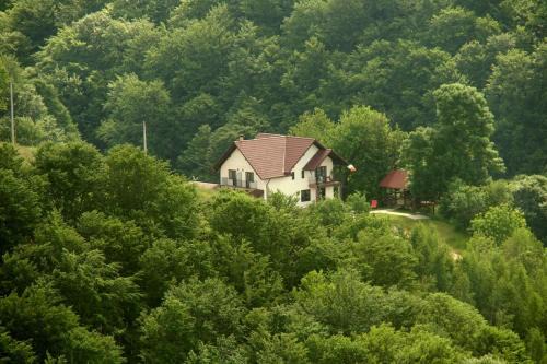 Poiana Marului House | Guest Rated 9.4: Pensiunea 7 Brazi with Oceanfront Views