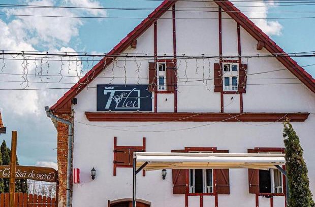 Cisnadioara House | Pet-Friendly Pensiunea 7 Tei: Family Comfort & Breakfast