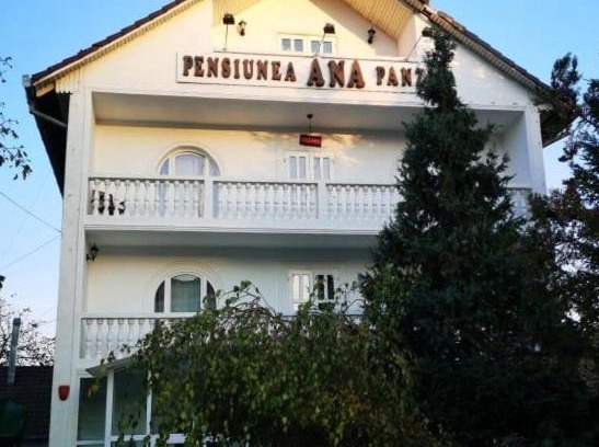 Ernei Hotel | Budget-Friendly Pensiunea Ana: Pet-Friendly with Breakfast