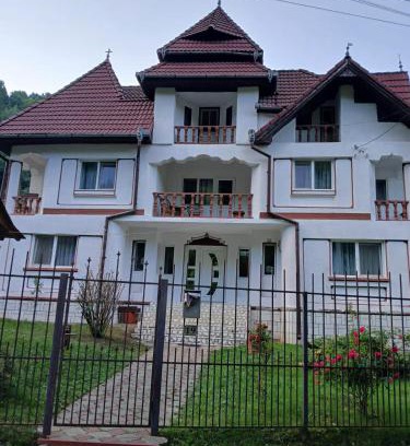 Sugag House | Pet-Friendly PENSIUNEA ANA Transalpina for Family Getaways