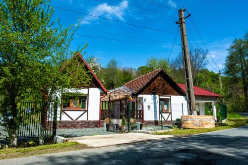 Savarsin House | Pet-Friendly Retreat at Pensiunea Anda - Savarsin