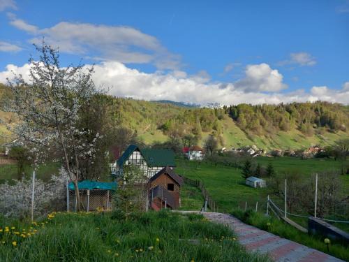 Moieciu House | Pet-Friendly Pensiunea Brian: Guest Rated 8.7/10