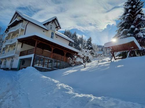 Borsa House | Cozy Pensiunea Casa Bradet: Pet & Child Friendly Stay