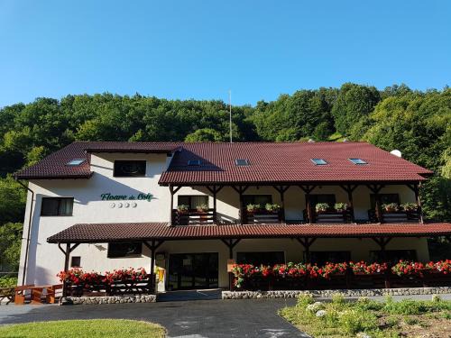 Galda de Jos House | Top-Rated Pensiunea Floare De Colt with Breakfast & Kitchen