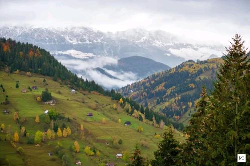 Moieciu House | Pet-Friendly Retreat at Pensiunea Hanul Dorului - 9.5/10