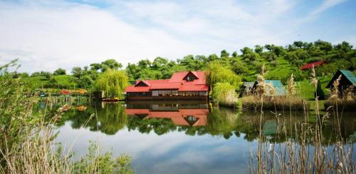Bistrita House | Budget-Friendly Pensiunea Hubertus with Family Amenities