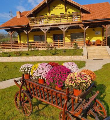 Boholt House | Top-Rated Pensiunea La Taica Iacob with Hot Tub & Kitchen