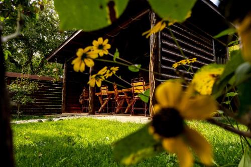 Valea Mare-Pravat Cabin | Discover Casa Namaesti: Pet-Friendly Retreat with Hot Tub