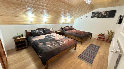 Loamnes House | Pensiunea Om Bun