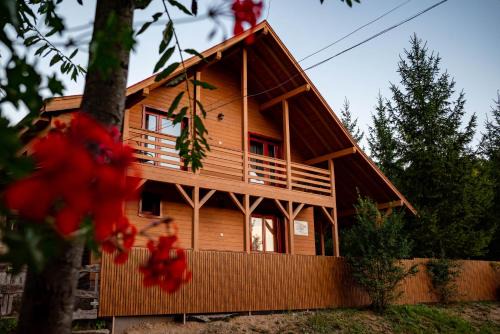 Zetea House | Discover Pensiunea Pepe Panzió: 4-Star with Spa & Hot Tub