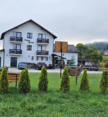 Vatra Dornei House | Experience Pensiunea Poiana Dornei: Rated 10/10 & Family Friendly