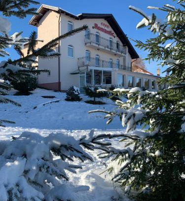 Paltinis House | Elegant Retreat at Pensiunea Romantic Belvedere Paltinis