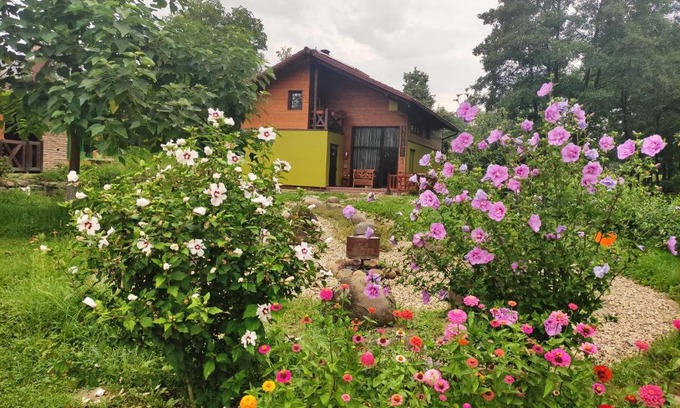 Sieu House | Explore Pensiunea Rosenhof: A Culinary Retreat Awaits