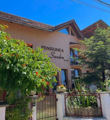 Ocna Sugatag House | Experience Pensiunea Sandra: Pet-Friendly Oasis with Pool