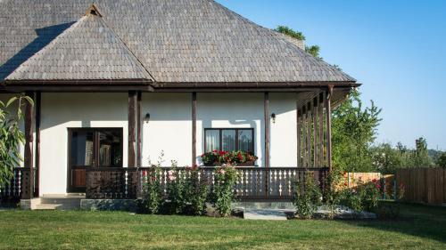 Mitocu Dragomirnei House | Top-Rated Pensiunea Tara Fagilor: Family-Friendly Retreat