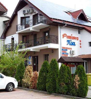 Baile Felix House | Family-Friendly Pensiunea Tisa with Hot Tub & Kitchen
