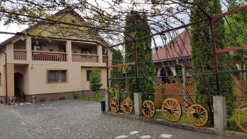 Sieu House | Pet-Friendly Retreat at Pensiunea Todorica Sergiu