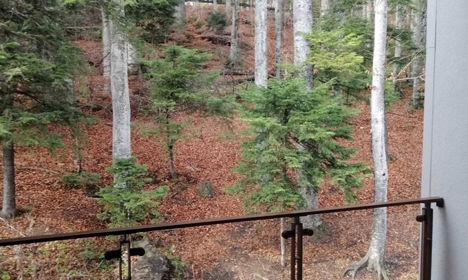 Sinaia Apartment | Elegant Penthouse in Sinaia Near Peles Castle and Gondola