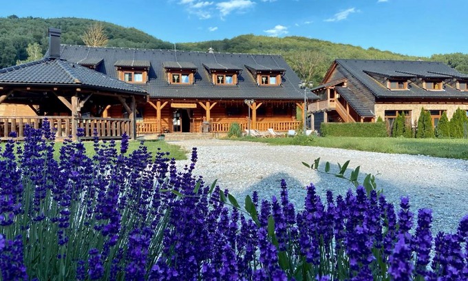 Vladica House | Discover Penzión Driečna: Pet-Friendly Retreat with Pool