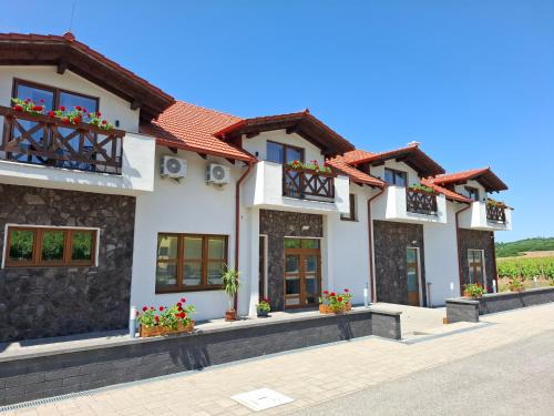Streda nad Bodrogom House | Pet-Friendly Penzión Vínny Dom with Spa and Breakfast
