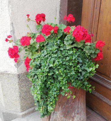 Lovrenc na Pohorju Bed & Breakfast | Ideal Stay at PENZIJON URBANC: Pet-Friendly Retreat
