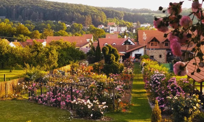 Radejov House | Welcome to Penzion ROSETA: Family-Friendly & Highly Rated