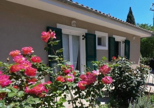 Asprogerakata Apartment | Top-Rated Peonia Lefkas Flower: Family-Friendly Retreat