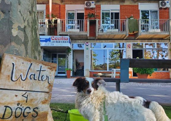 Fatima House | Pereira Guesthouse Cecilia Inn: Pet-Friendly & Accessible Stay