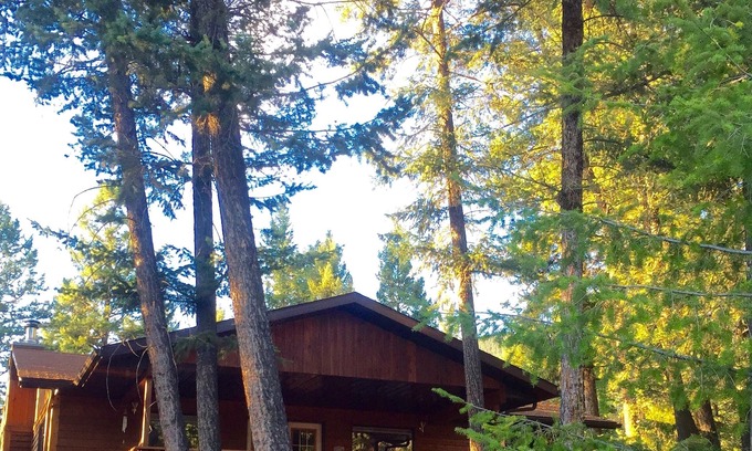 East Kootenay Cabin | Perfect Cabin for families, couples & dogs, minutes from a soak in Hot Springs
