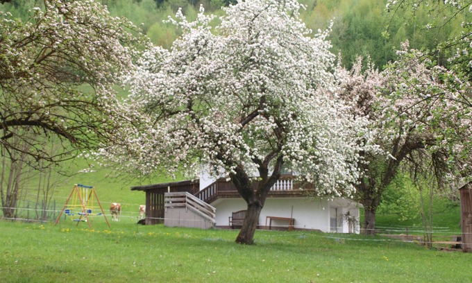 Helfenstein Ski Chalet | Idyllic Chalet Retreat - Guest Rated 9.8 with Family-Friendly Amenities