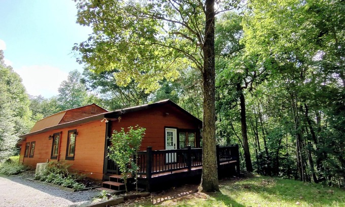Turtletown Cabin | Nature Retreat: Perfectly Imperfect Cabin Near Blue Ridge