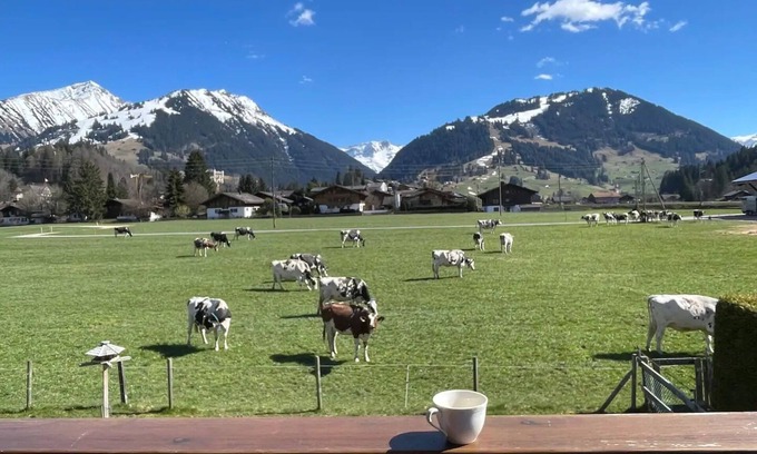 Saanen Apartment | Perfectly located within walking distance to the picturesque promenade of Gstaad