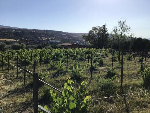 Pano Arodhes House | Top-Rated Pervolaris Cottages: Family & Pet Friendly Stay