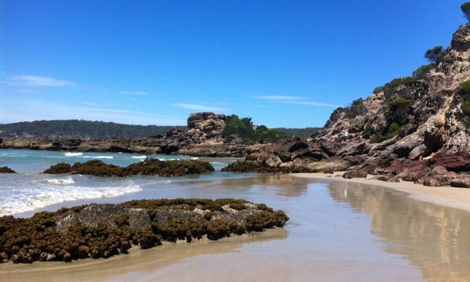 Broadwater House | Tranquil Pet-Friendly Retreat with Lake Views near Pambula Beach